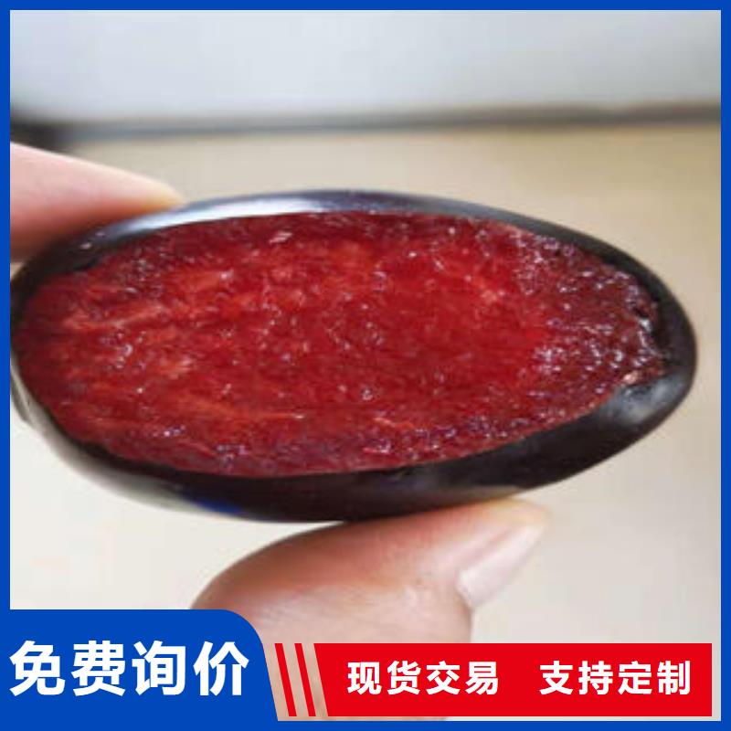 板栗苗视频-板栗苗_湖南省市场覆盖衡阳|永州|岳阳|湘潭|益阳|常德等