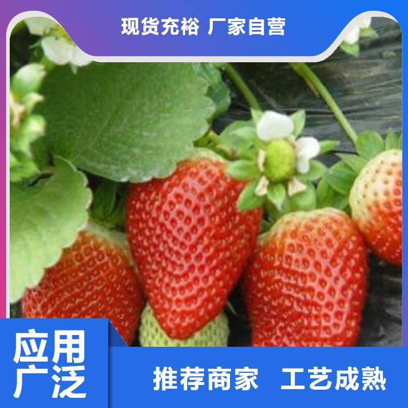 板栗苗视频-板栗苗-云南省附近服务商-玉溪|大理|临沧|楚雄|迪庆|德宏