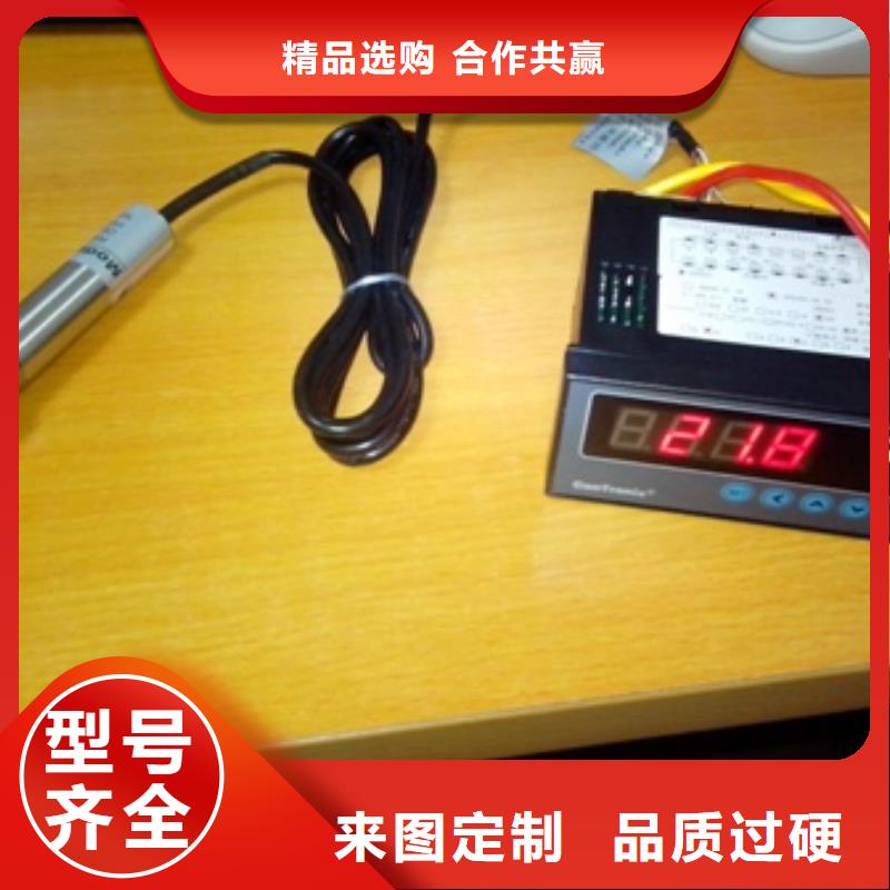 IRTP300L微小流量计加工定制