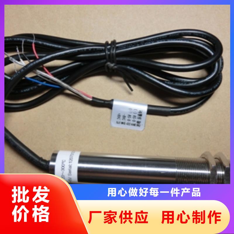 IRTP300L吹扫装置海量库存
