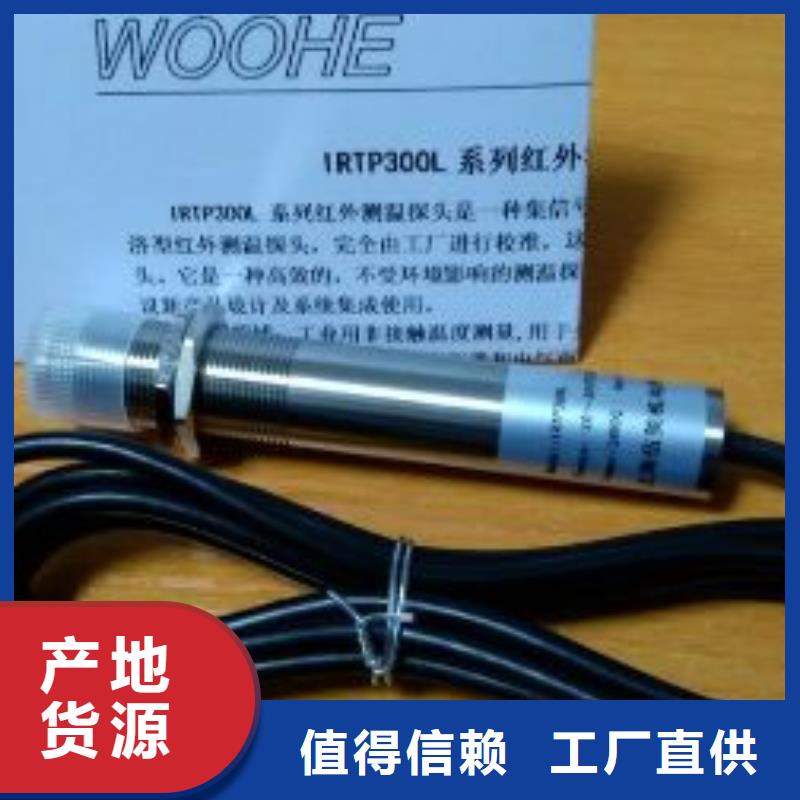 IRTP300L,金属管浮子流量计专业生产设备