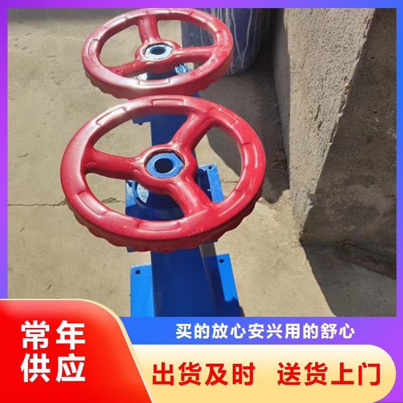 螺杆式启闭机双吊点启闭机服务至上