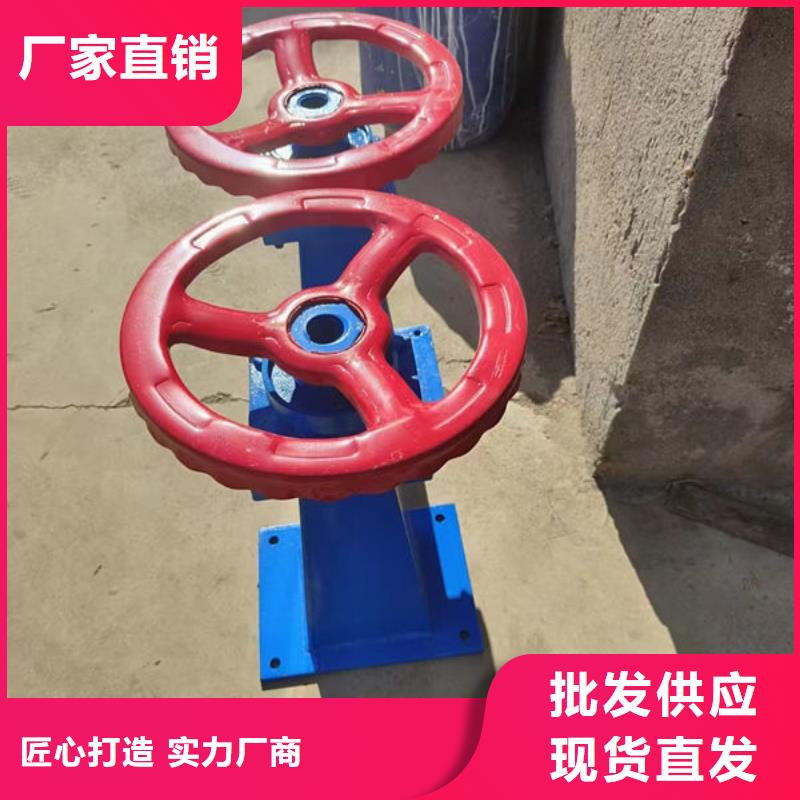 螺杆式启闭机侧摇启闭机厂家售后完善