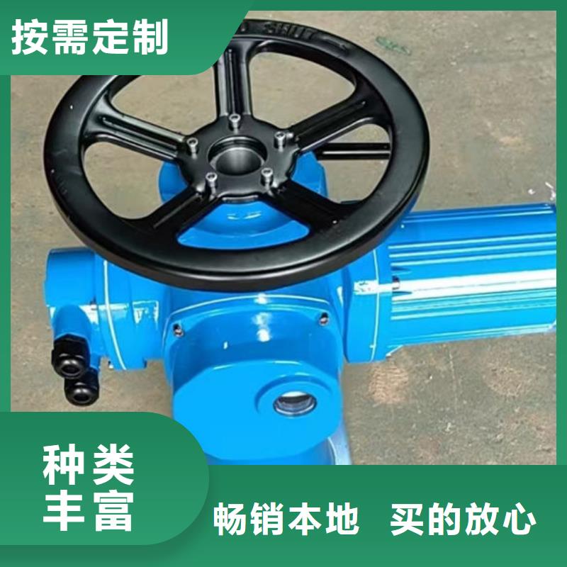 螺杆式启闭机平推启闭机库存齐全厂家直供