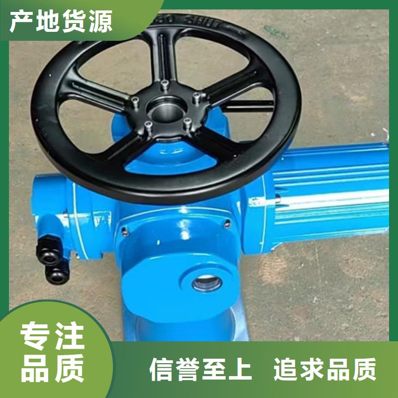 螺杆式启闭机双吊点启闭机规格齐全实力厂家