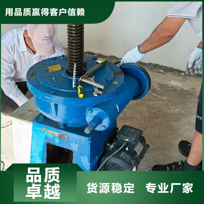 螺杆式启闭机斜拉式启闭机大厂生产品质
