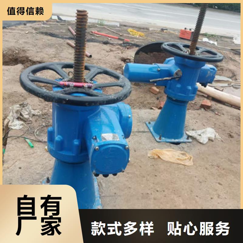 螺杆式启闭机直联式启闭机厂家质量过硬