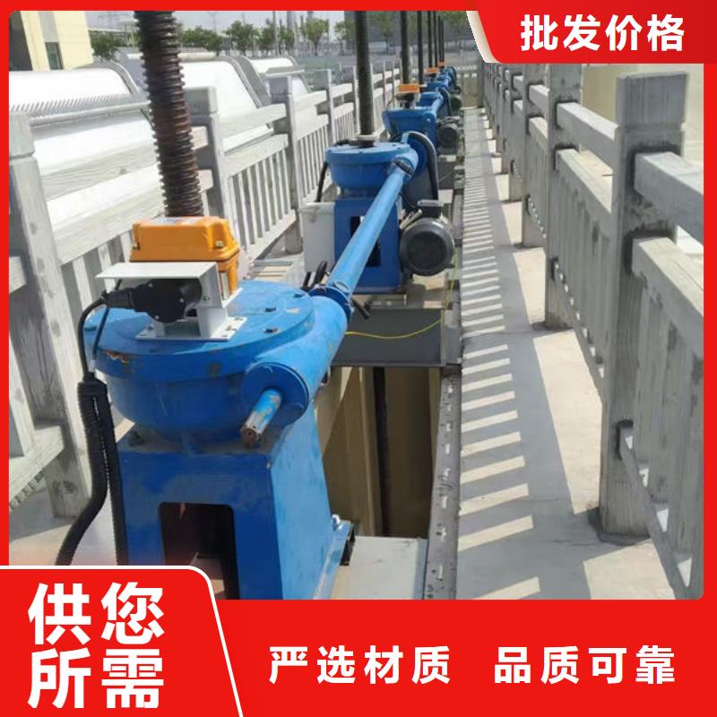 螺杆式启闭机启闭机闸门专心专注专业