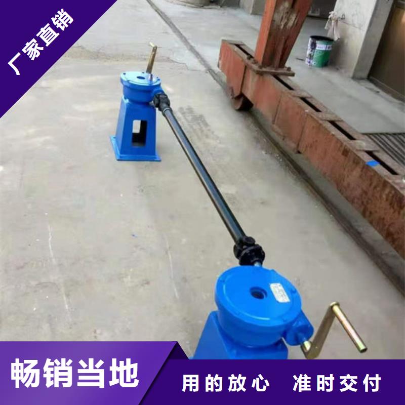 螺杆式启闭机直联式启闭机精工打造