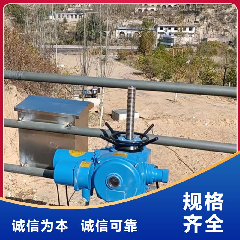 螺杆式启闭机,平推启闭机严格把关质量放心
