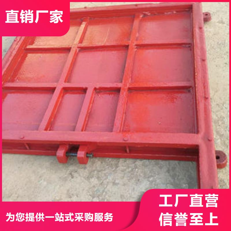 铸铁闸门,铸铁拍门满足客户需求