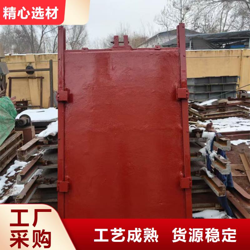 铸铁闸门镶铜铸铁闸门品质优选