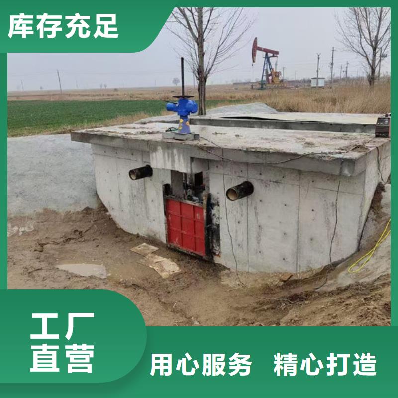 铸铁闸门水电站铸铁闸门支持大小批量采购