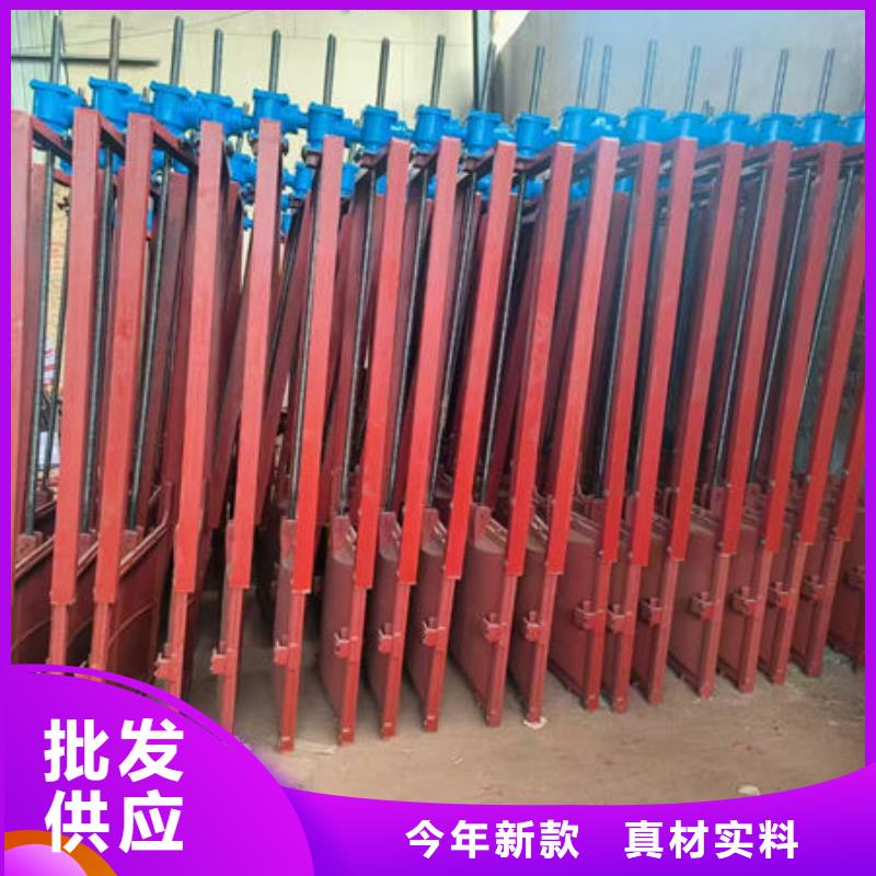 铸铁闸门镶铜铸铁闸门品质优选