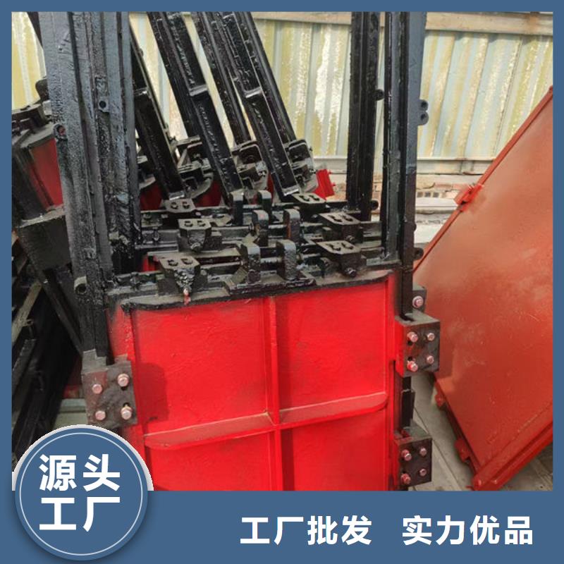 铸铁闸门,扇形闸门生产厂家