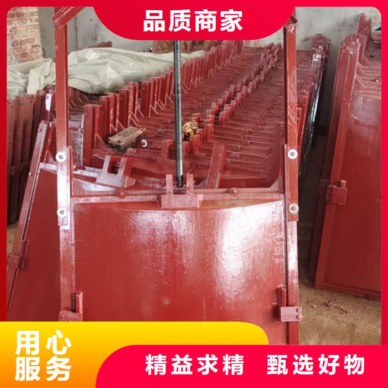 铸铁闸门-水电站铸铁闸门真材实料