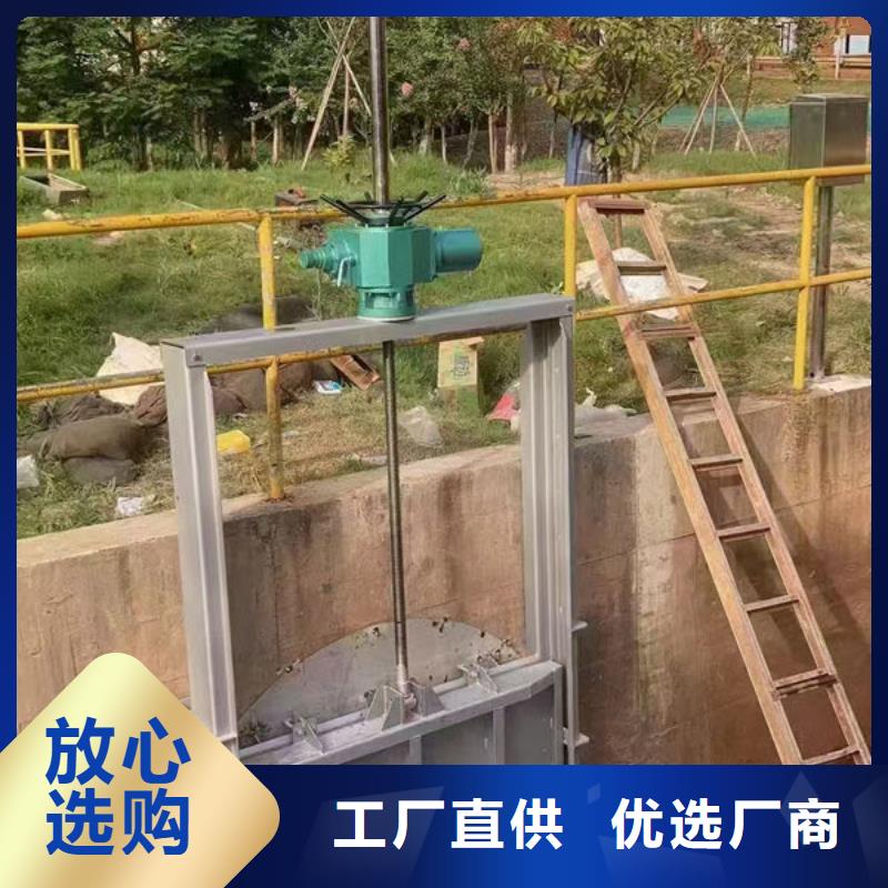 铸铁闸门_铸铁闸门价格透明