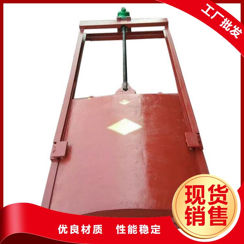 铸铁闸门,扇形闸门生产厂家
