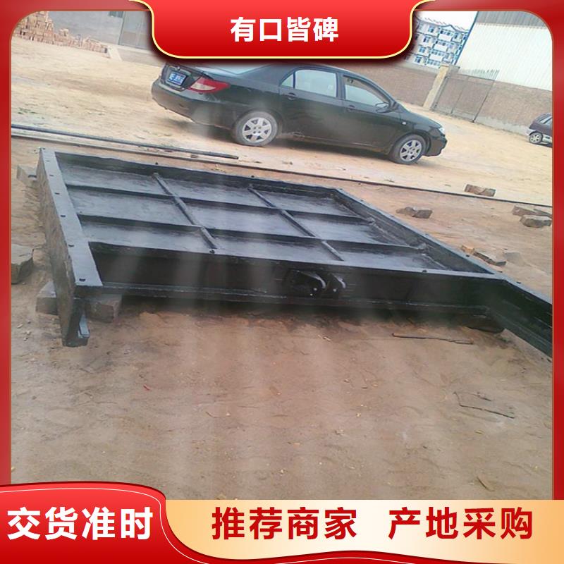 铸铁闸门-水电站铸铁闸门真材实料