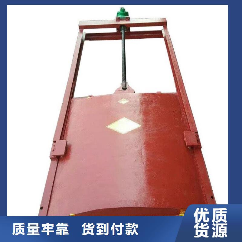 铸铁闸门泵站铸铁闸门通过检测