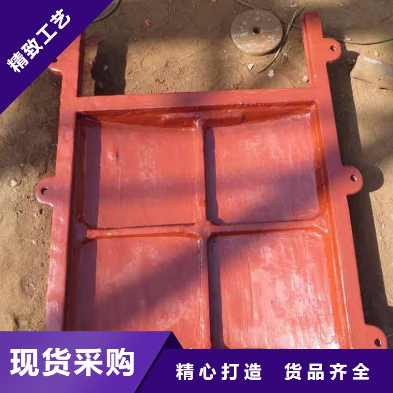 铸铁闸门,手提铸铁闸门型号全价格低