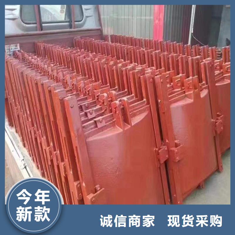 铸铁闸门复合闸门拥有多家成功案例