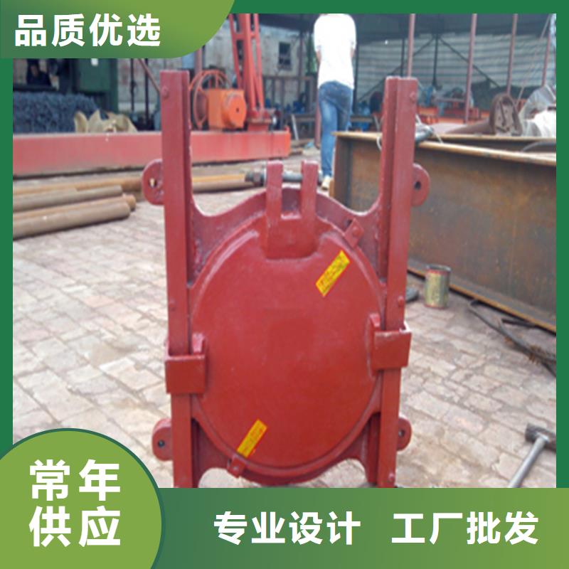 铸铁闸门复合闸门拥有多家成功案例