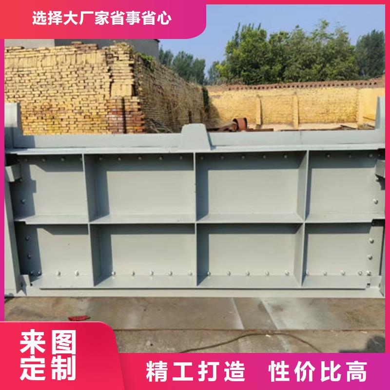 钢坝闸门合页钢坝工厂自营