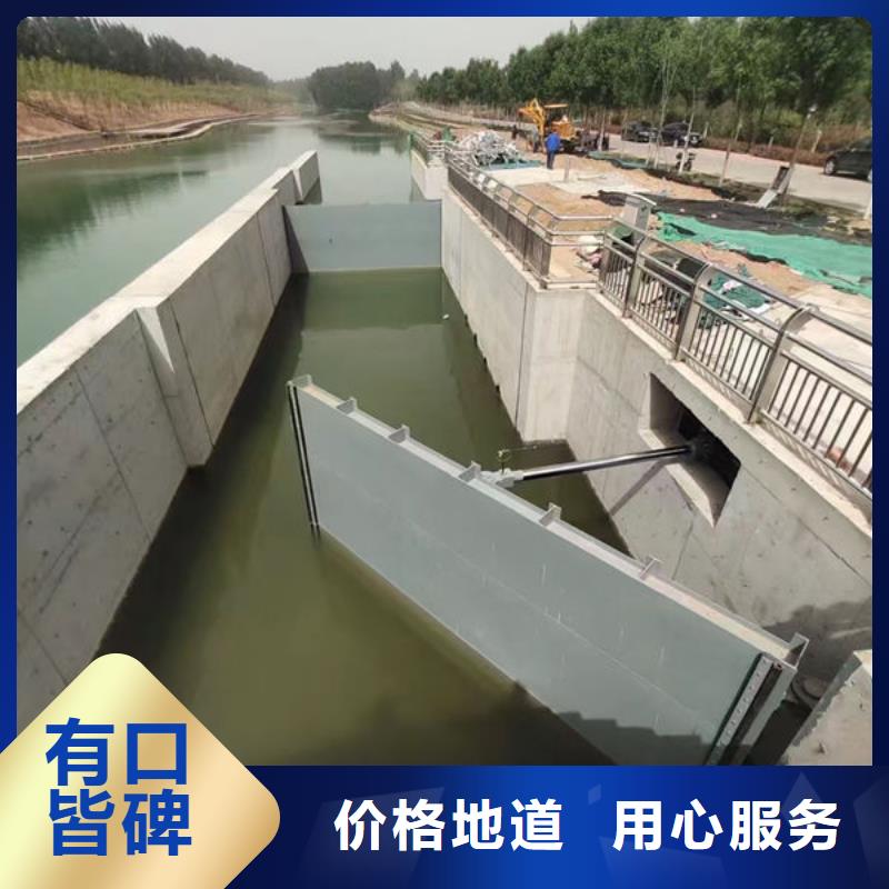 钢坝闸门合页钢坝用心制造