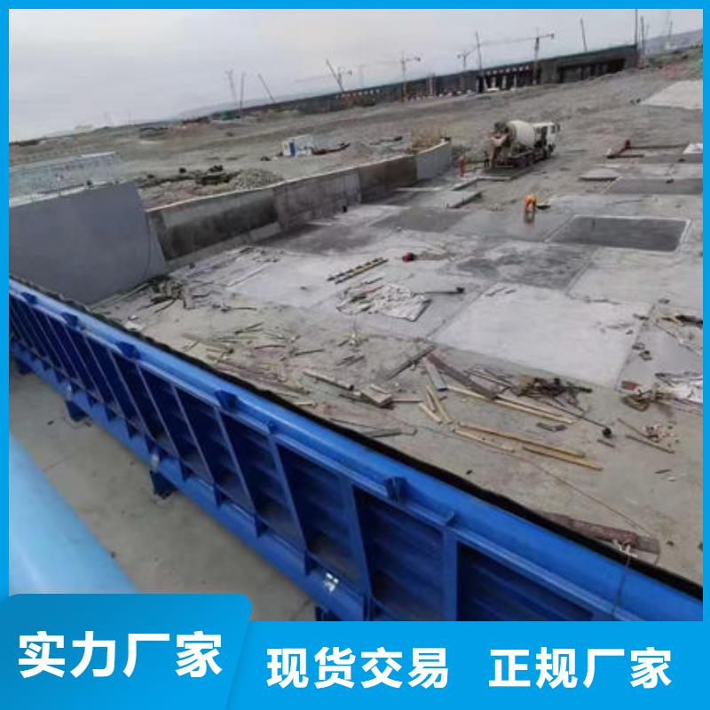 钢坝闸门叠梁门优选厂家
