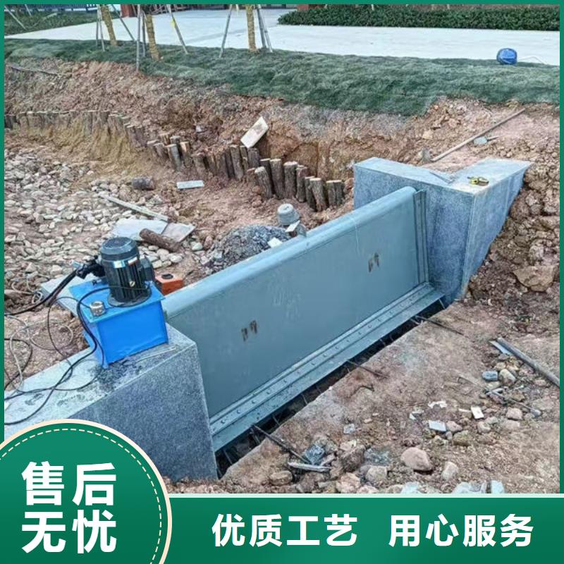 钢坝闸门合页钢坝老品牌厂家