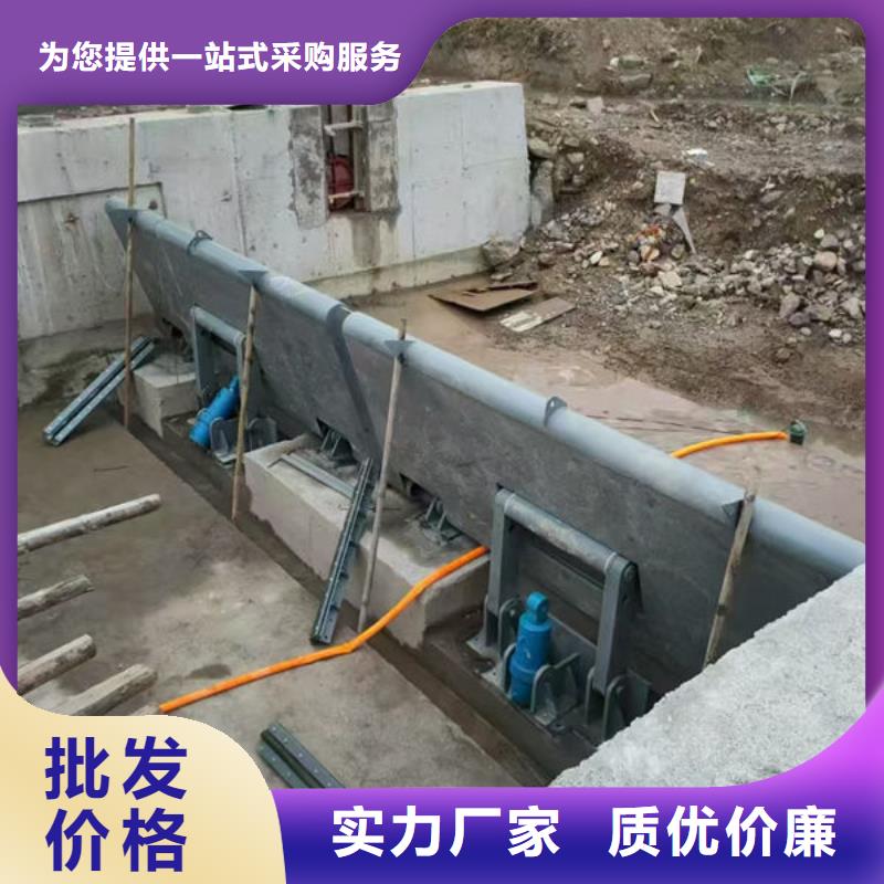 钢坝闸门合页钢坝厂家自营
