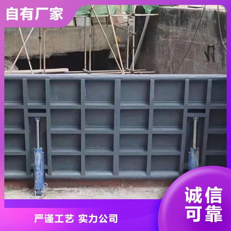 钢坝闸门合页钢坝规格齐全
