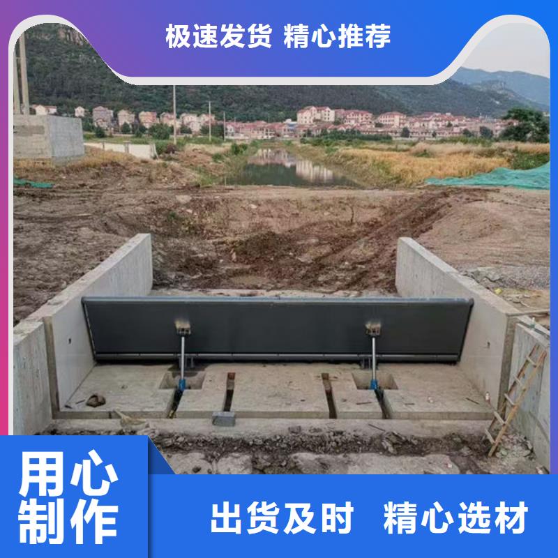 钢坝闸门合页钢坝老品牌厂家