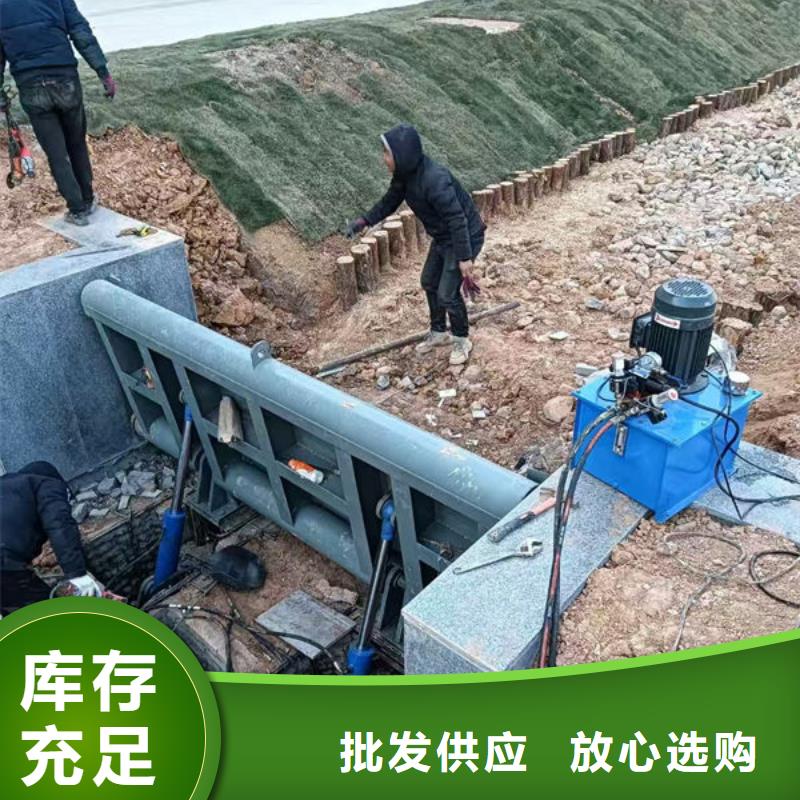 钢坝闸门泵站上卧式闸门商家