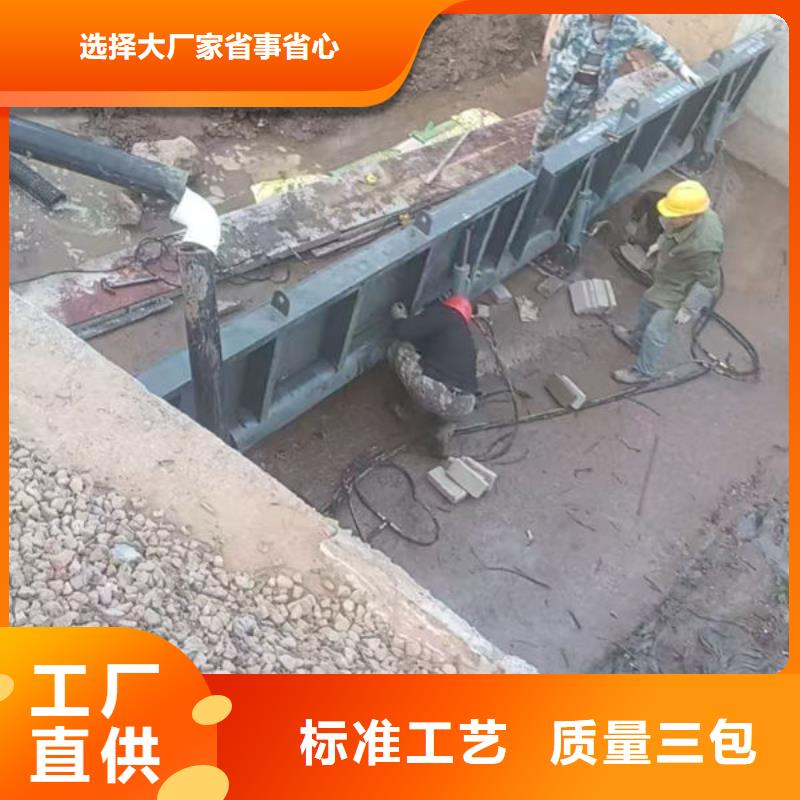 钢坝闸门-泵站上卧式闸门真诚合作