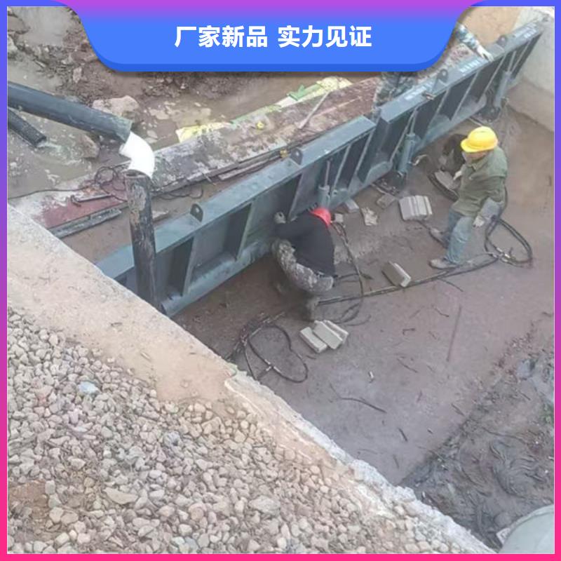钢坝闸门泵站上卧式闸门商家