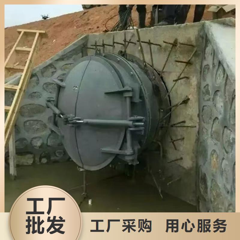 拍门球墨铸铁拍门买的放心