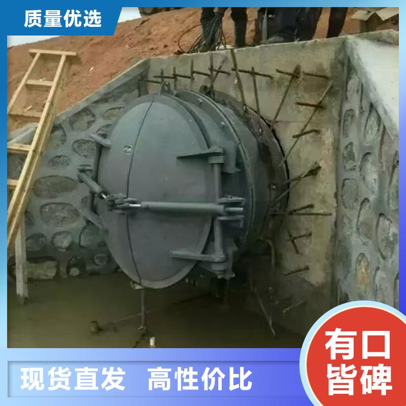 拍门钢拍门一站式采购方便省心