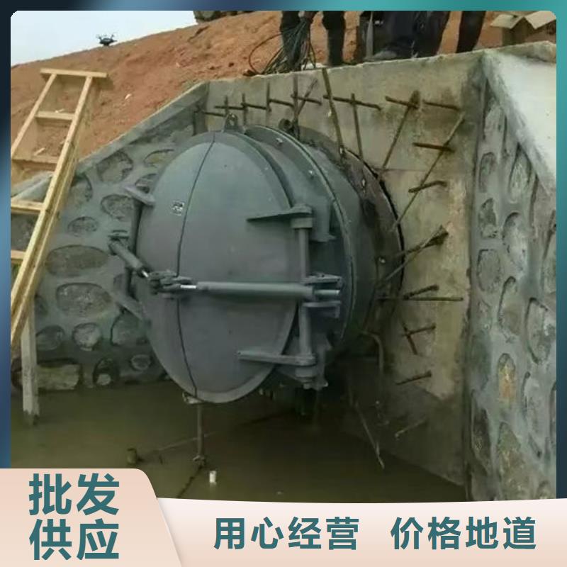 拍门-不锈钢拍门品质优选