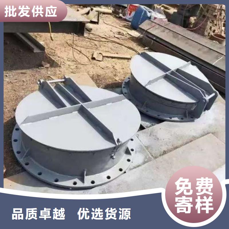 拍门球墨铸铁拍门款式新颖