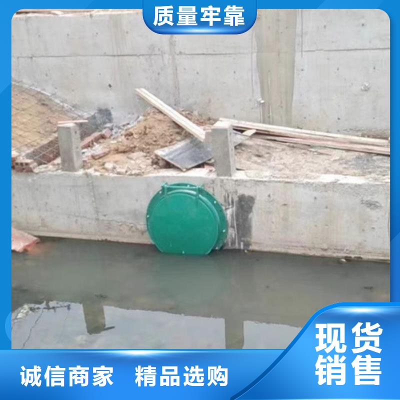 拍门-钢拍门质量牢靠