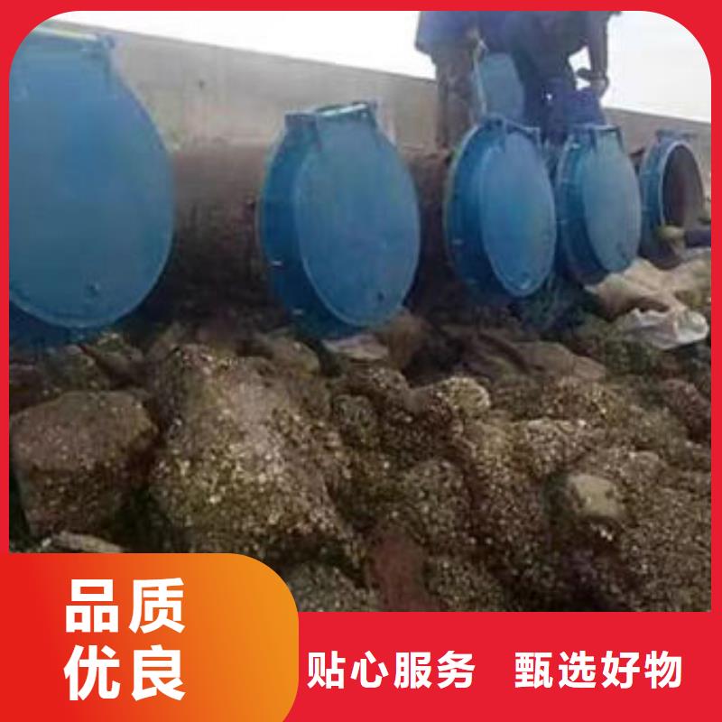拍门复合材料拍门匠心打造