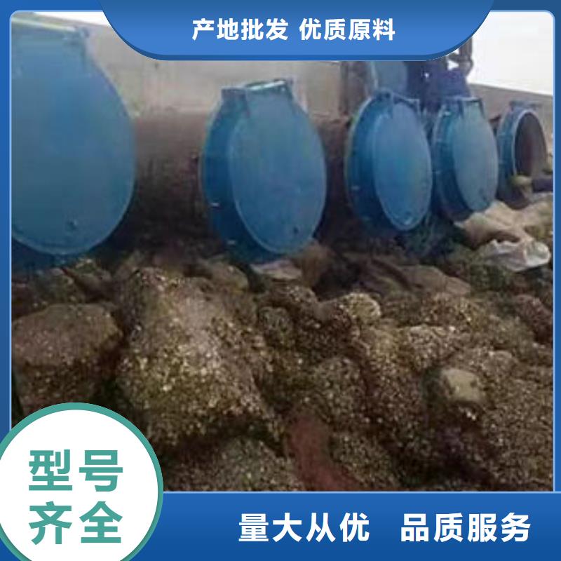 拍门防倒灌拍门同行低价