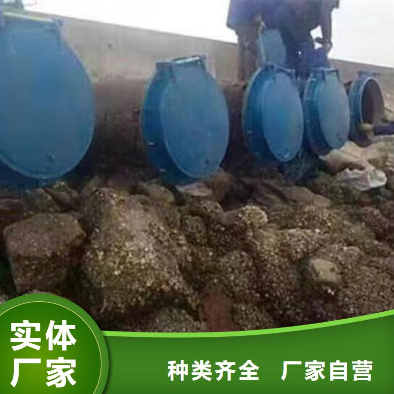 拍门拍门实力工厂