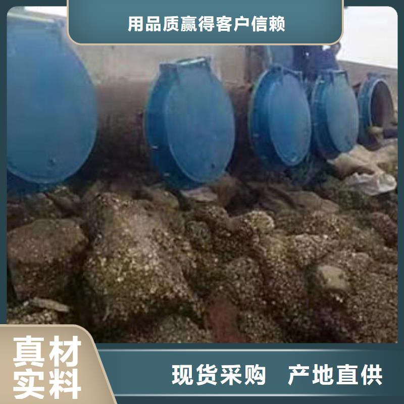 拍门钢拍门快速物流发货