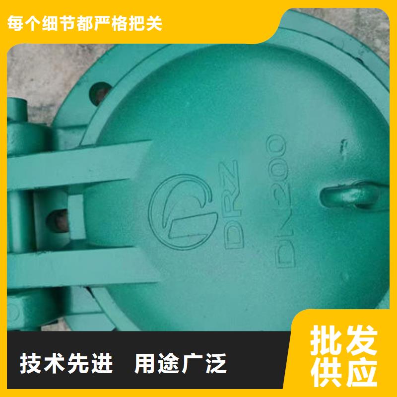 拍门-铸铁拍门价格低