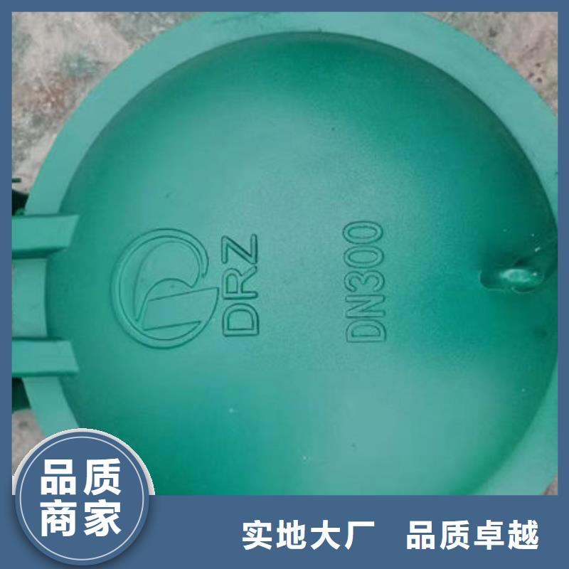 拍门铸铁拍门值得信赖