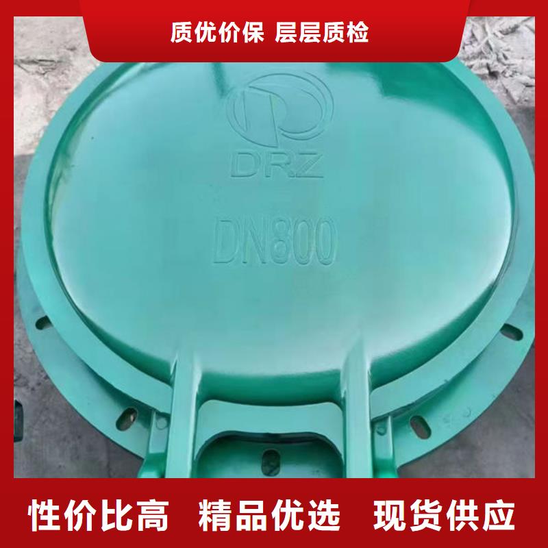 拍门球墨铸铁拍门欢迎来电咨询