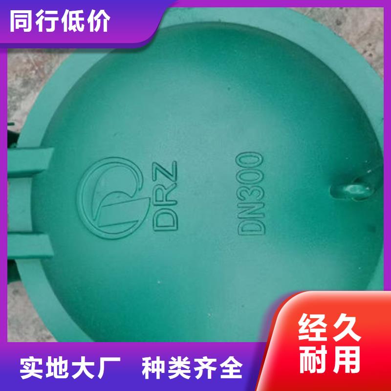 拍门,拍门认准大品牌厂家